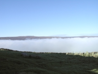 Morning valley fog