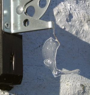 Suspended ice