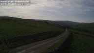 Webcam Thumbnail