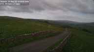Webcam Thumbnail