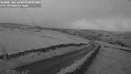 Webcam Thumbnail