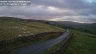 Webcam Thumbnail