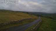 Webcam Thumbnail
