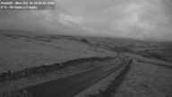 Webcam Thumbnail
